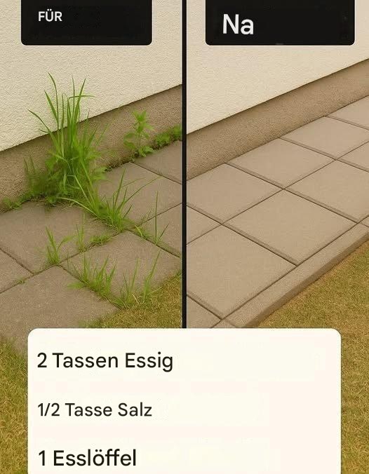 Einfaches Hausmittel gegen Unkraut – so stellen Sie es selbst her
