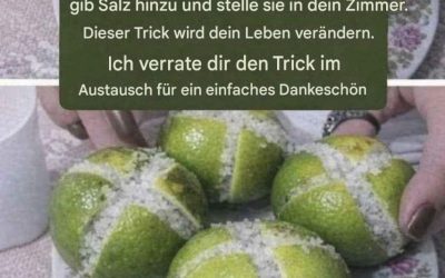 Der natürliche Haushaltstrick für frische Nächte und angenehme Raumluft