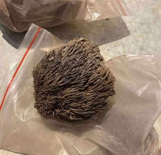 In meinem Paket aus China waren sechs davon. Warum haben sie die da reingetan und was soll das?“ Komplettes im KOMMENTAR