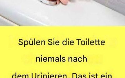 darauf sollten Sie achten