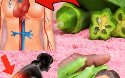 Warum deine Periode das geheime Superfood sein könnte, nach dem dein Körper sich sehnt