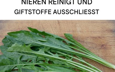 Eine fast vergessene Pflanze begeistert mit ihren vielseitigen Eigenschaften