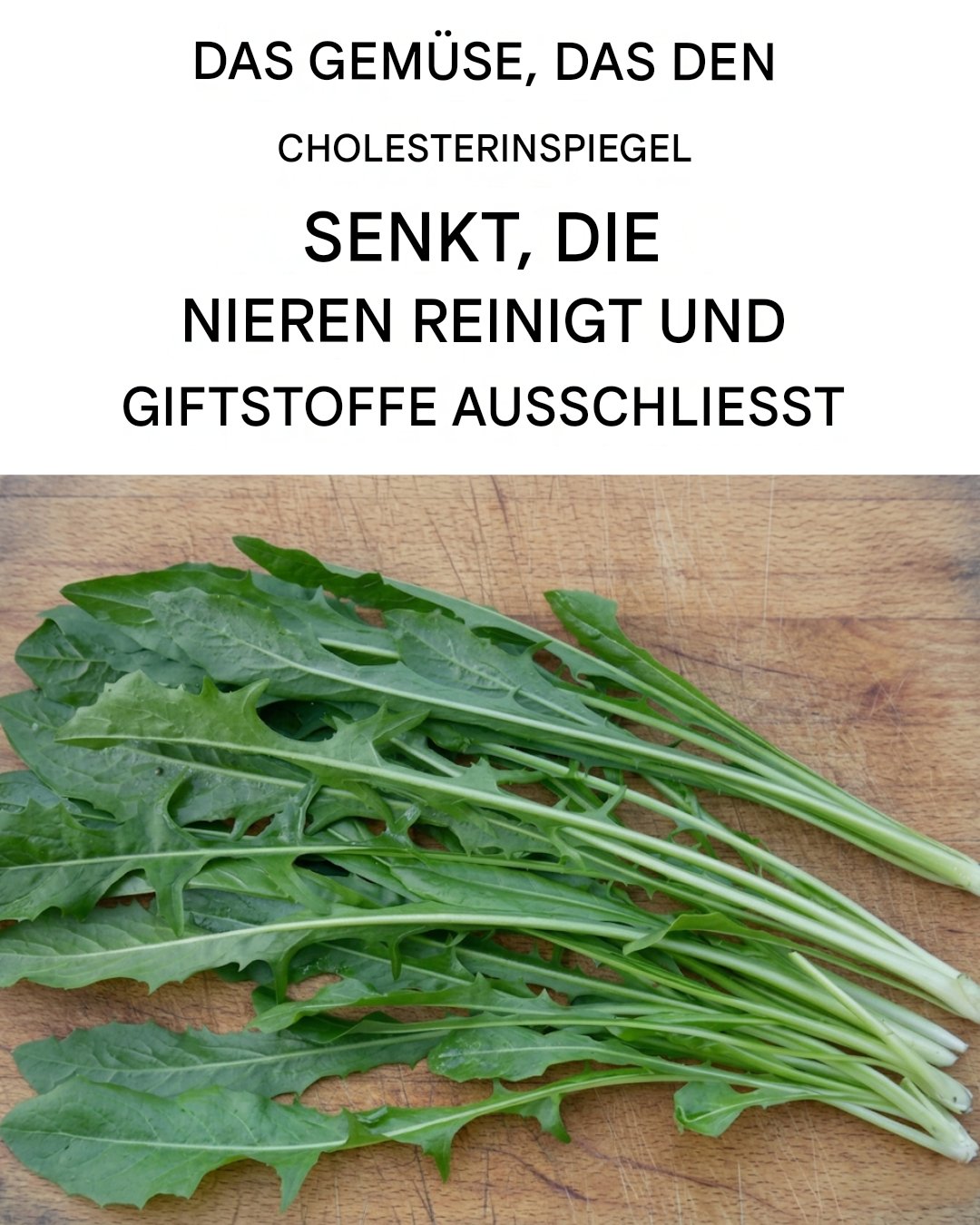Eine fast vergessene Pflanze begeistert mit ihren vielseitigen Eigenschaften
