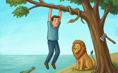 Dieses Bild ist faszinierend. Können Sie es lösen?