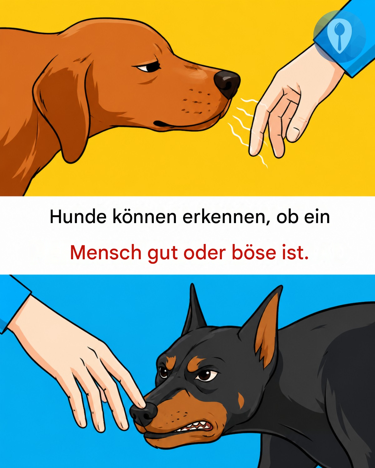 Können Hunde wirklich erkennen, ob jemand gut oder böse ist?