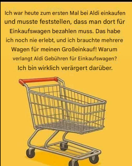 Warum muss Aldi für Einkaufswagen bezahlen?