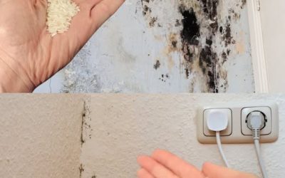 3 ultimative Tricks, um Schimmel in 5 Minuten von Wänden zu entfernen