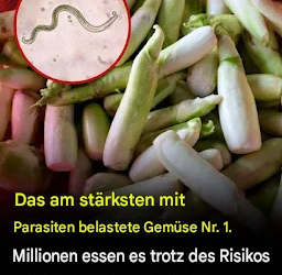 Das Gemüse, Das Am Ehesten Parasiten Trägt, Ist Auch Eine, Die Viele Menschen Lieben Es, Roh Zu Essen