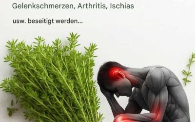 Die wirkungsvollste Heilpflanze, die Sie kennen sollten🌿 👇👇👇