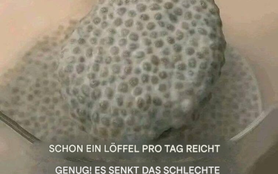 Schon ein einziger Löffel pro Tag genügt! Es senkt das schlechte Cholesterin, reinigt die Arterien, reguliert den Blutzucker und zügelt sogar den