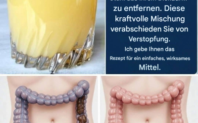 Das Wundergetränk, das 15 kg Giftstoffe aus Darm und Blutgefäßen spült – bewährte Formel