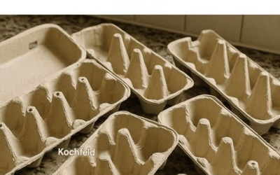 Werfen Sie keine alten Eierkartons mehr weg! Hier sind 10 clevere Tricks, wie Sie sie zu Hause wiederverwenden können.