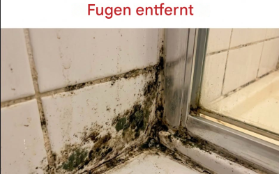 Verfärben sich Ihre Silikondichtungen schwarz? Entdecken Sie die natürliche Methode, die ihre Reinigung revolutioniert.