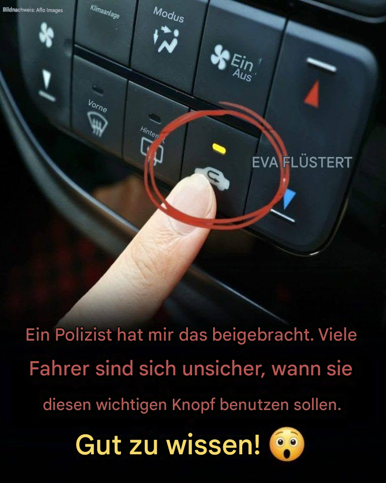 Der Armaturenbrettknopf, den die meisten Autofahrer ignorieren – und warum er tatsächlich wichtig ist