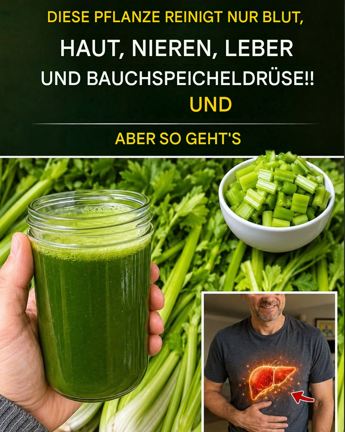 Sellerie reinigt Blut, Haut, Nieren, Leber und Bauchspeicheldrüse auf einmal. Um weiterhin meine Rezepte zu erhalten, geben Sie mir einfach