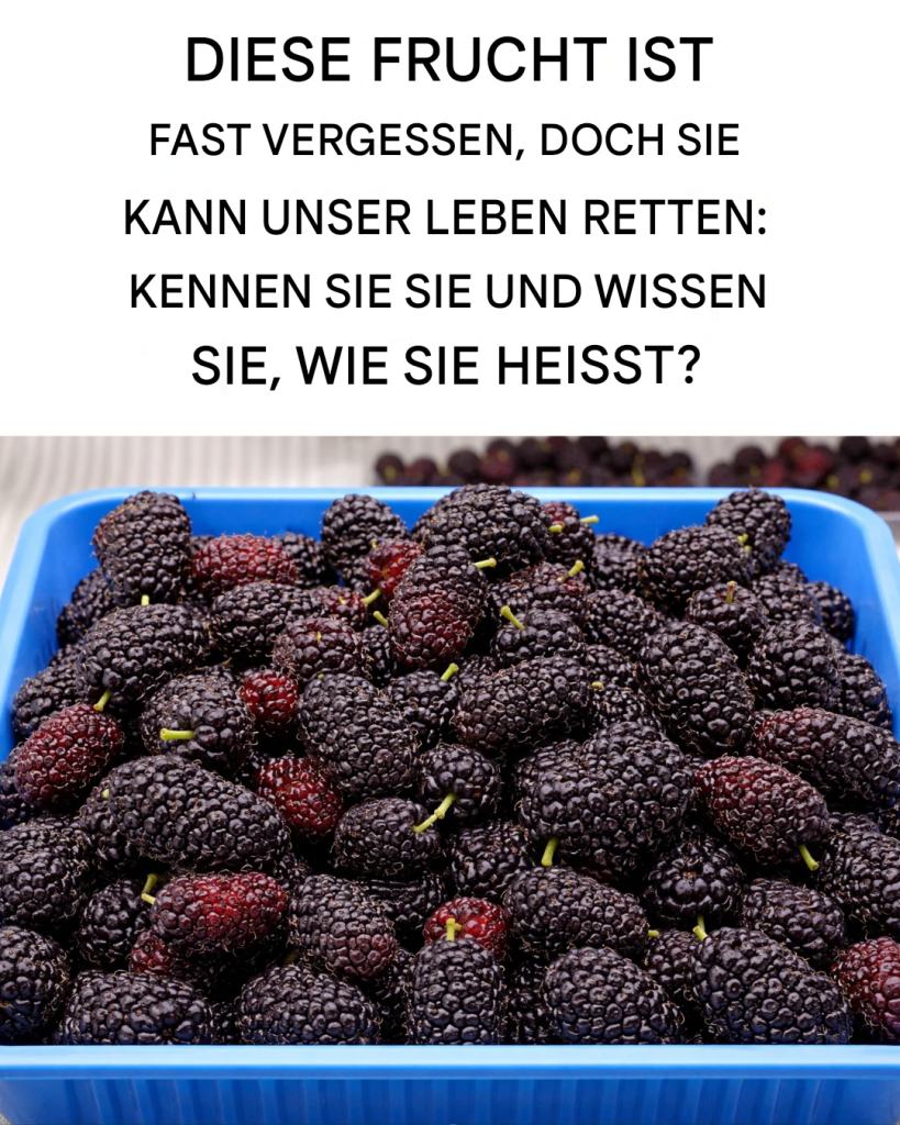 Warum die Schwarze Maulbeere seit Jahrhunderten so geschätzt wird