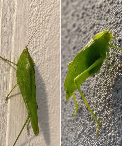 Wussten Sie, dass so ein Briefkasten bei Ihnen zu Hause Ihnen mitteilen will, dass…? Mehr anzeigen