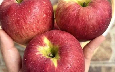 Warum Äpfel als kraftvolles Alltagsobst für das Wohlbefinden gelten