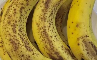 Welche Bananensorte ist die beste für Sie: Fest und gelb oder weich und braun gefleckt?
