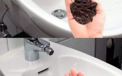 Einzigartiger Titel: „Kaffee, Bidet und eine geheimnisvolle Mischung: Wie Sie Ihre Sinne mit einem neuen Rezept überraschen können“