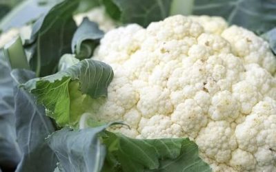 Ärzte enthüllen, dass Blumenkohl die Ursache ist… …Weiterlesen