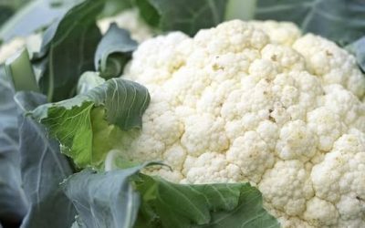 Ärzte enthüllen, dass Blumenkohl … verursacht. …Mehr anzeigen