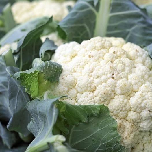 Ärzte enthüllen, dass Blumenkohl … verursacht. …Mehr anzeigen
