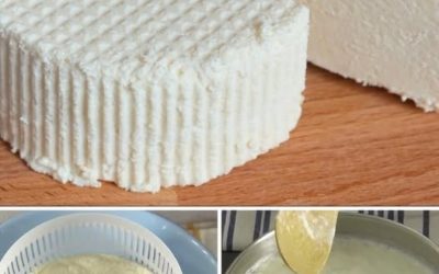 Hausgemachter Frischkäse in 30 Minuten