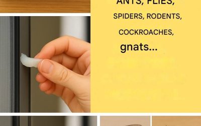 Trick mit Vick VapoRub zur Schädlingsbekämpfung: Mücken, Ameisen, Fliegen, Spinnen, Nagetiere, Kakerlaken, Fliegen…