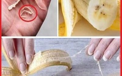 Der verborgene Zweck der Schnüre an Bananen