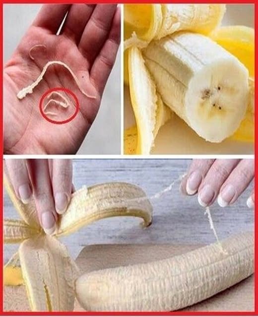 Der verborgene Zweck der Schnüre an Bananen