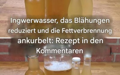 Ingwerwasser: das gesündeste Getränk zur Fettverbrennung an Bauch, Nacken, Armen, Rücken und Oberschenkeln!