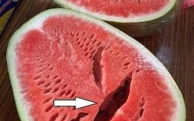Sie haben eine Wassermelone aufgeschnitten und Risse entdeckt? Hören Sie sofort auf, sie zu essen! Hier erfahren Sie, was das wirklich bedeutet.