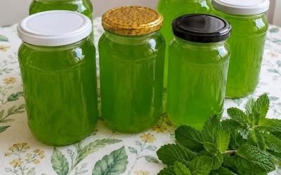 Nachdem Sie den Garvorgang abgeschlossen haben, werden Sie wahrscheinlich einen NO-Cook-Koch verwenden, der folgendes benötigt: 1 Teelöffel bis zum nächsten Kochvorgang, noch mehr