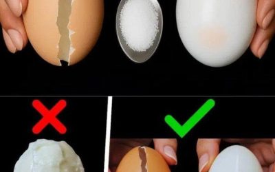 Senioren: Stärken Sie Ihre Muskeln mit einem einfachen Lebensmittel (eine Lösung gegen Muskelschwund!). Um mit meinem Rezept