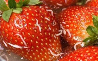 Ich habe Erdbeeren in Salzwasser eingeweicht