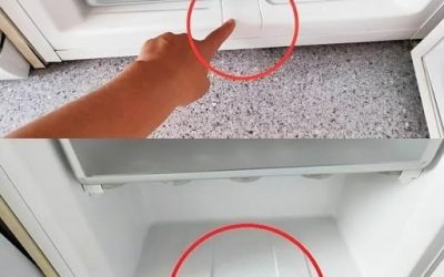 Fryserens hemmelighed afsløret: Die Frage, was ich je getan habe, war ein fantastisches Ergebnis