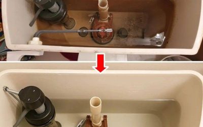 So reinigen Sie Ihre Toilettenspülung und lassen sie wie neu aussehen