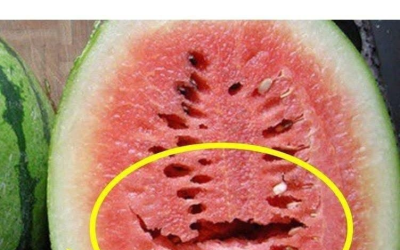 Hast du eine Wassermelone aufgeschnitten und Risse entdeckt? Hör sofort auf, sie zu essen! Das bedeutet es!