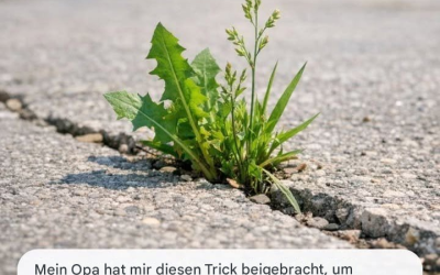 Mein Opa hat mir diesen Trick beigebracht, um Unkraut in der Einfahrt fast mühelos zu entfernen. So funktioniert’s