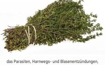 DAS WIRKSAMSTE KRÄUTER ZERSTÖRT PARASITEN, HARNWEGS…