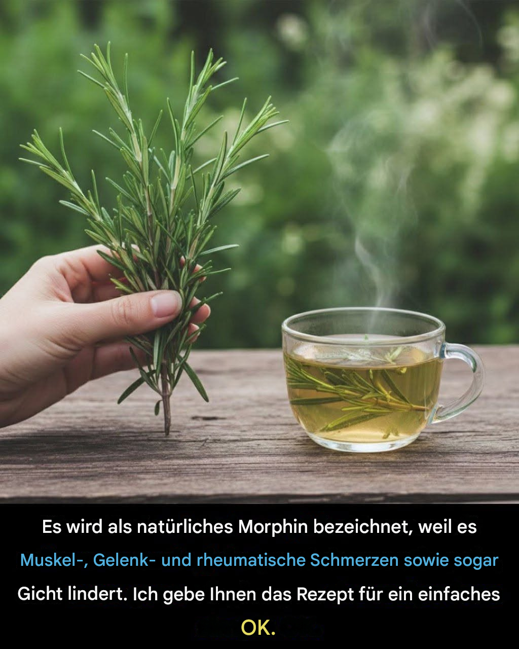 Rosmarin: das natürliche Morphium bei Muskel- und Gelenkschmerzen.