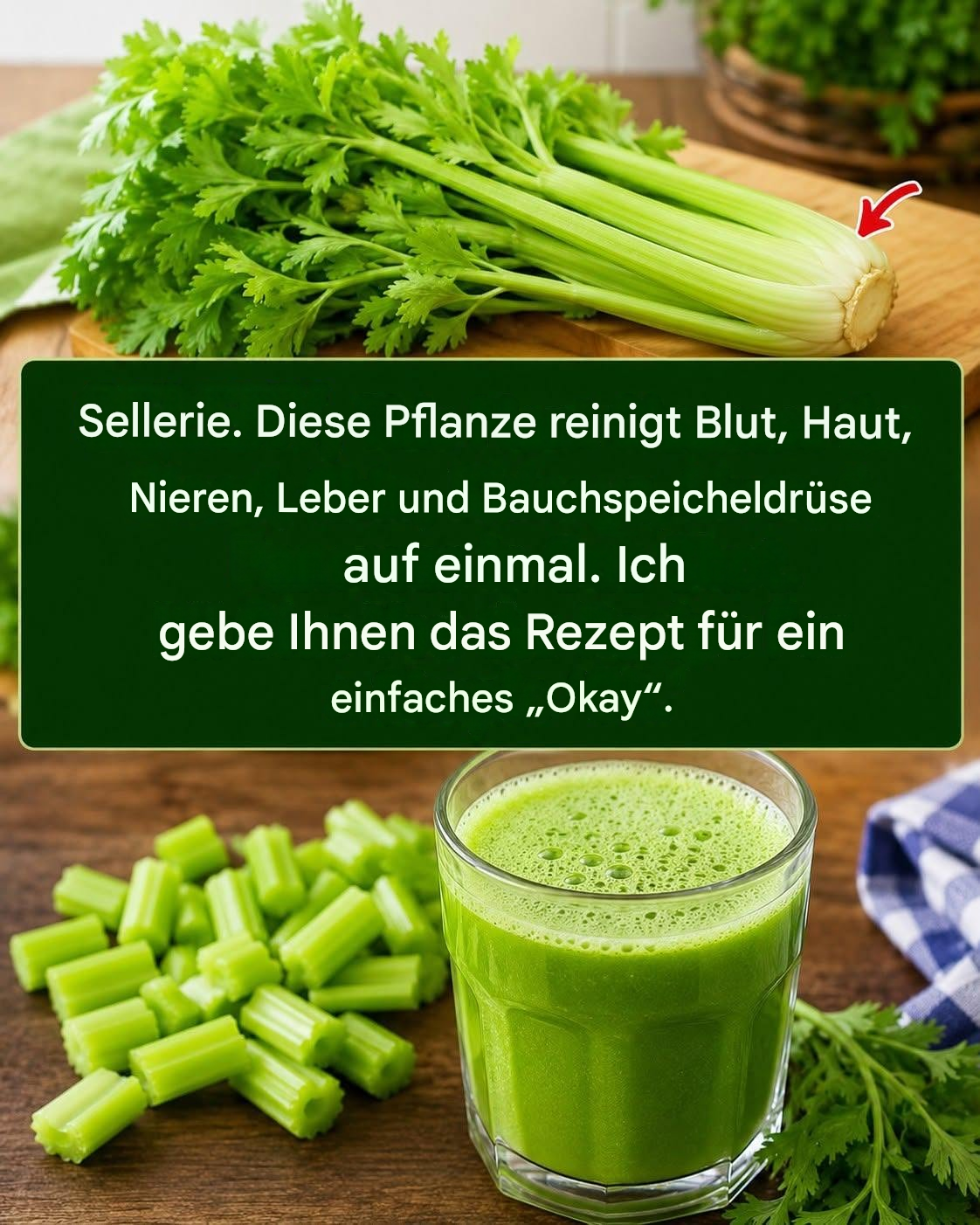 Diese Pflanze reinigt Blut, Haut, Nieren, Leber und Bauchspeicheldrüse auf einmal. Aber so geht’s… Um weiterhin meine Rezepte zu erhalten, brauche