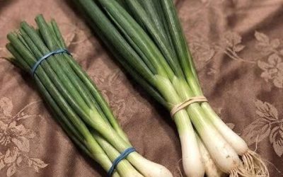 Der Unterschied zwischen Frühlingszwiebeln, Lauchzwiebeln und Schnittlauch erklärt