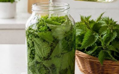 Brennnessel in Wodka ist stärker als jede Medizin, pflegte mein Großvater zu sagen: Merk dir dieses Rezept für den Rest deines Lebens!