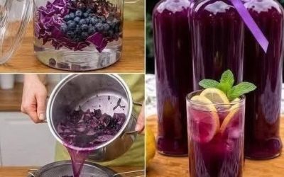 Wellnessgetränk aus Rotkohl und Blaubeeren