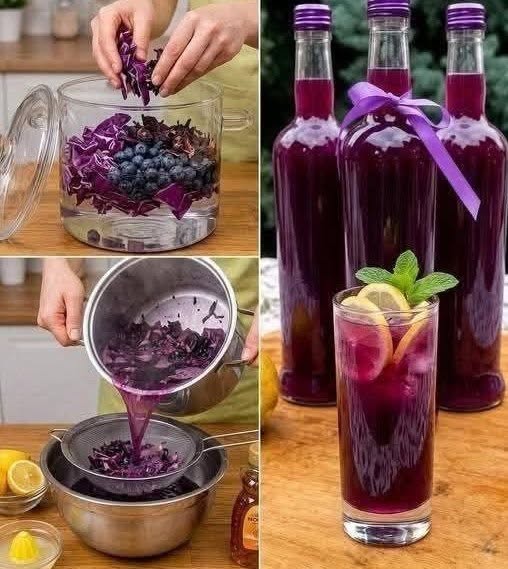 Wellnessgetränk aus Rotkohl und Blaubeeren