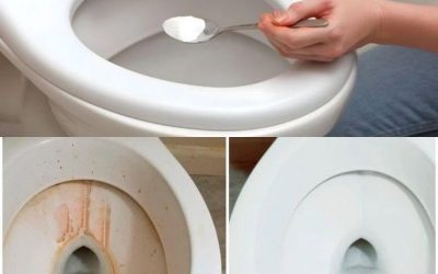 Sieben Löffel Salz in der Toilette?“ 🧂🚽 Klingt komisch, aber dieser einfache Trick spart Zeit, beseitigt Gerüche und sorgt für Frische. Neugierig, wie das funktioniert?
