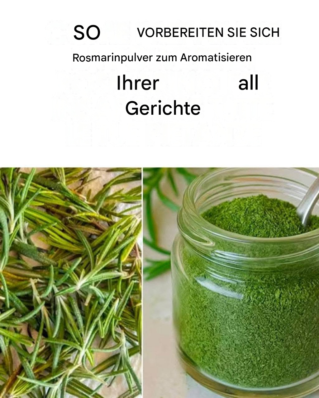 Wie man Rosmarinpulver herstellt: Eine Schritt-für-Schritt-Anleitung für eine natürliche und wohltuende Zutat