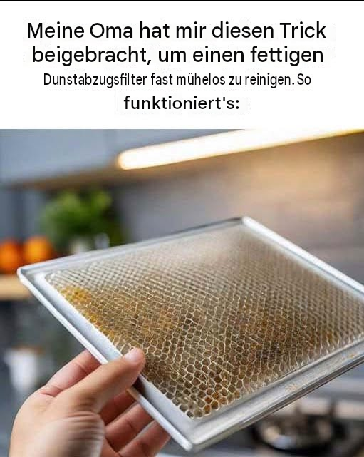 Die einfachste Methode, einen fettigen Dunstabzugsfilter zu reinigen